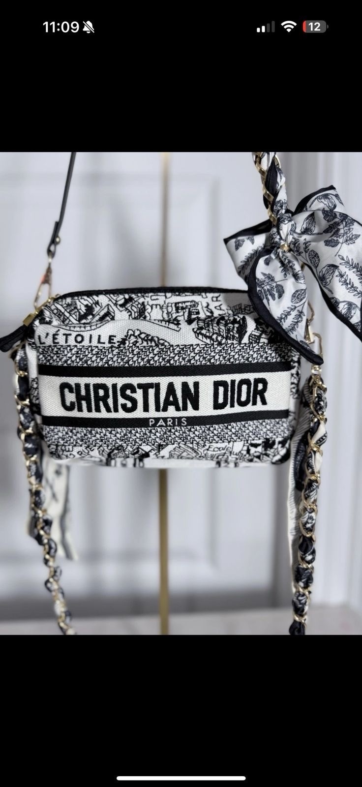 NWT Christian Dior Plan De Paris Canvas Embroidered Cosmetic Bag VIP GWP- BOX