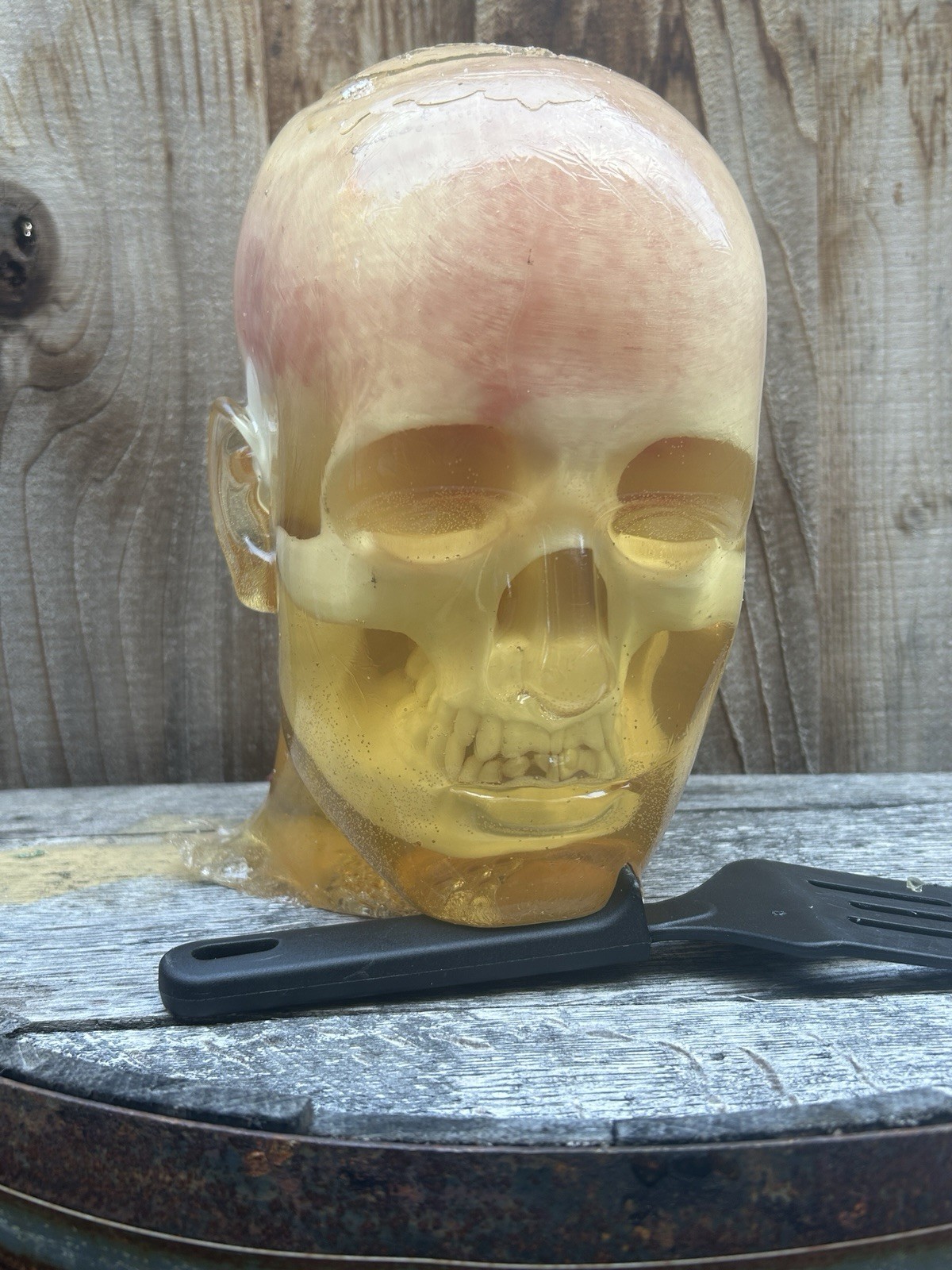 Ballistic Gel Head w/ Skull And Brain NO blood