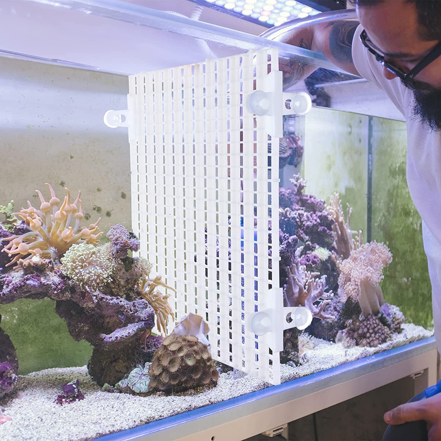 4pcs Aquarium Divider Tray Egg Crate Grid Fish Tank Divider Bottom Isolation