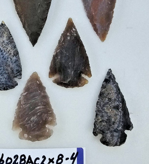 8 Piece Collection 2" Spearheads - Arrowheads - Hand Knapped Agate/Jasper