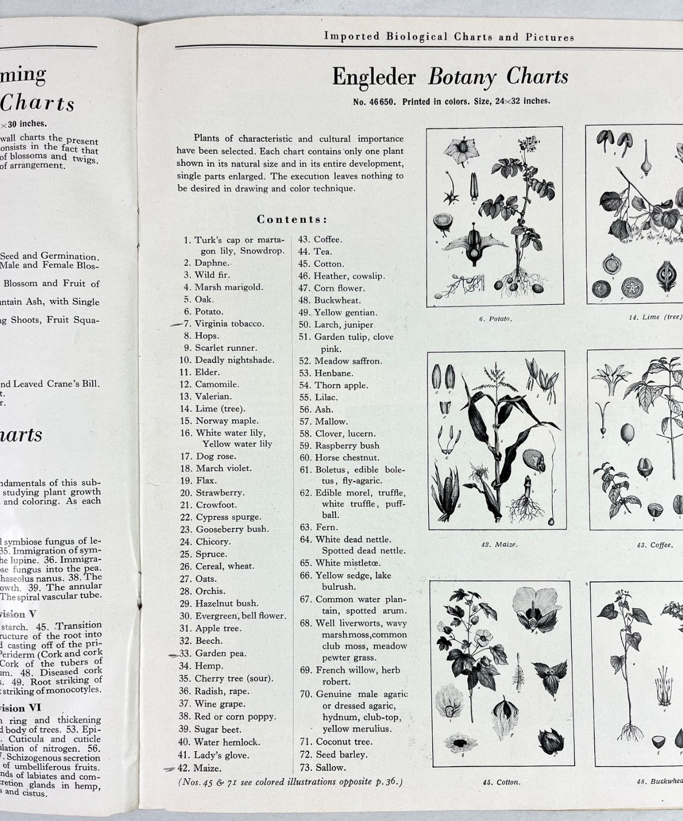 Rare 1928 A.J Nystrom Sales Catalog FB-28 Europe Charts Biology Medical Anatomy