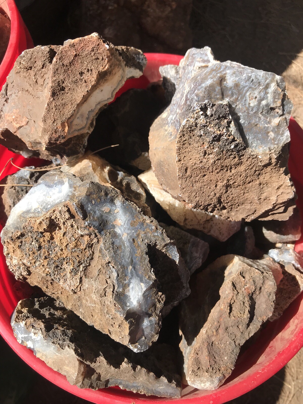 Colorful Agates From o6 Kokernot West Texas Ranch: Agate Rough Lapidary Rock