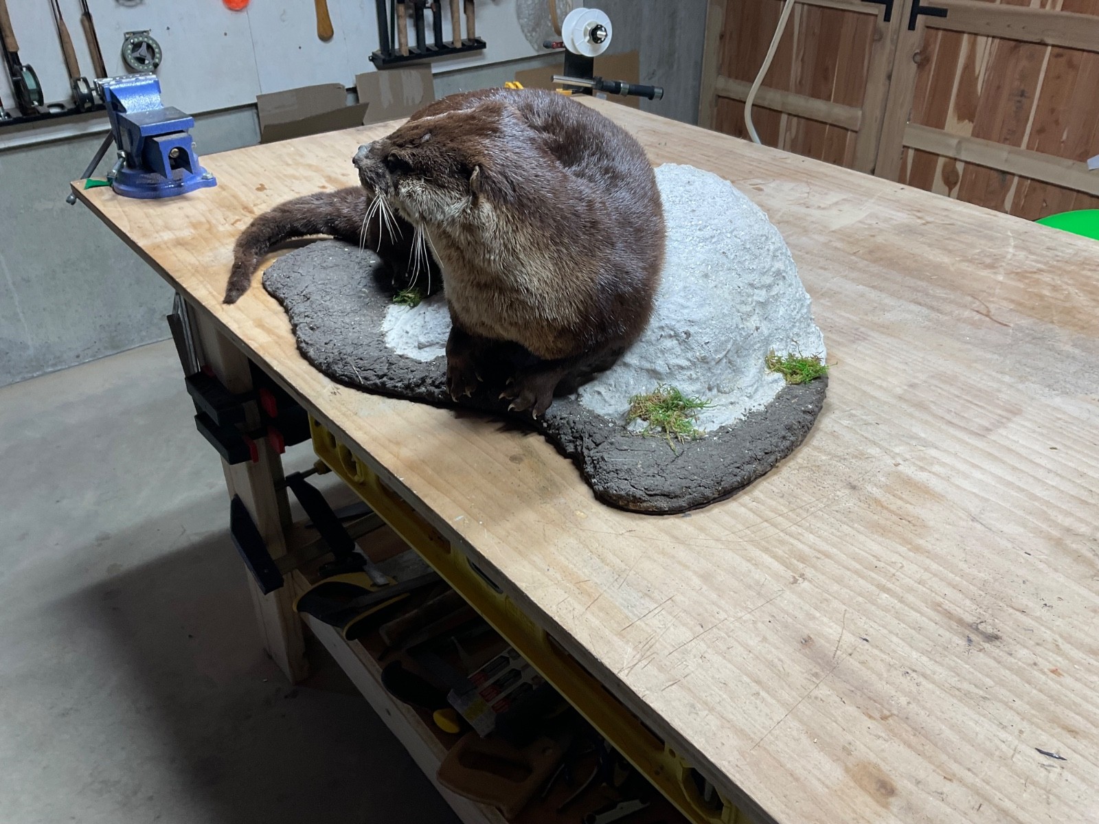 Utter full body mount in a natural setting