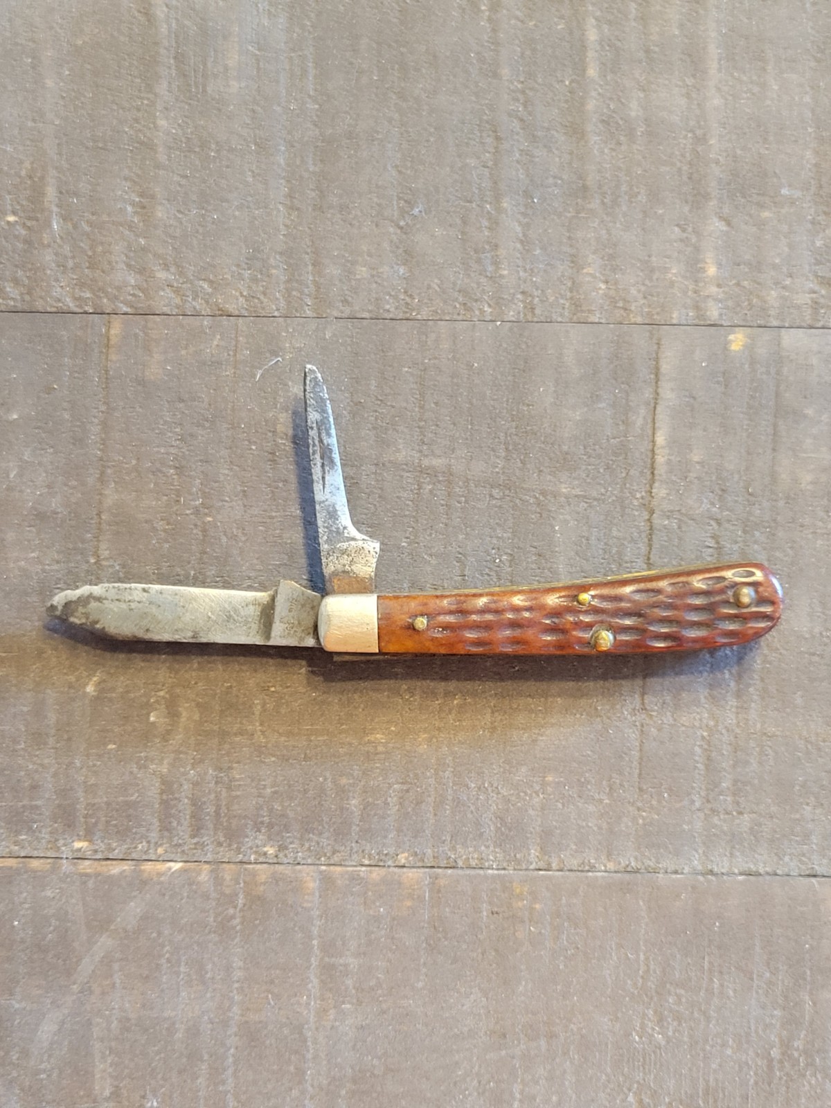 Case XX 6229 1/2 tadpole Pocketknife Two-Blade Brown Clip Pen