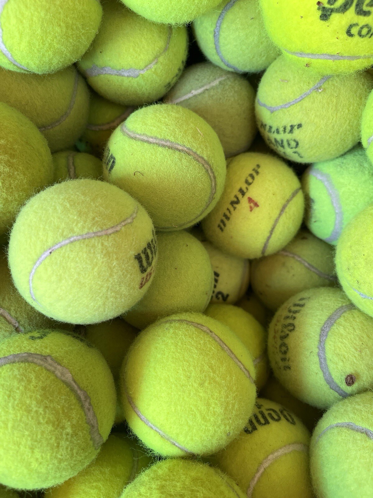 10 of Good Grade used Tennis Balls from Wilson, Dunlop, Penn, Head, etc Dog Toys