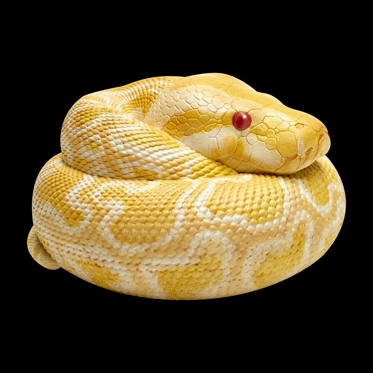 【In-Stock】 Animal Heavenly Body Albino Burmese Python molurus Snake Statue