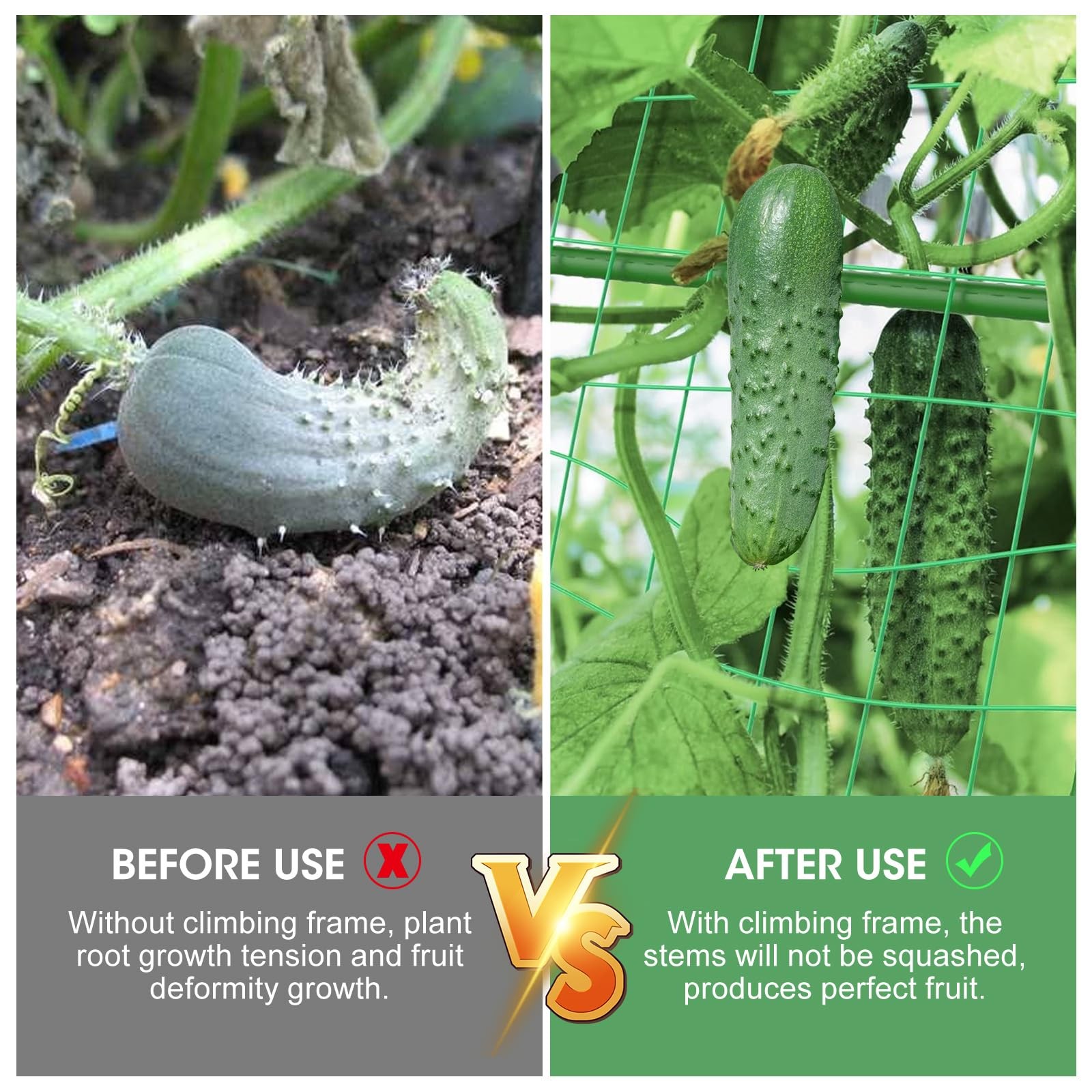 55" H x 36" W Cucumber Trellis for Raised Bed Garden, Trelli Black