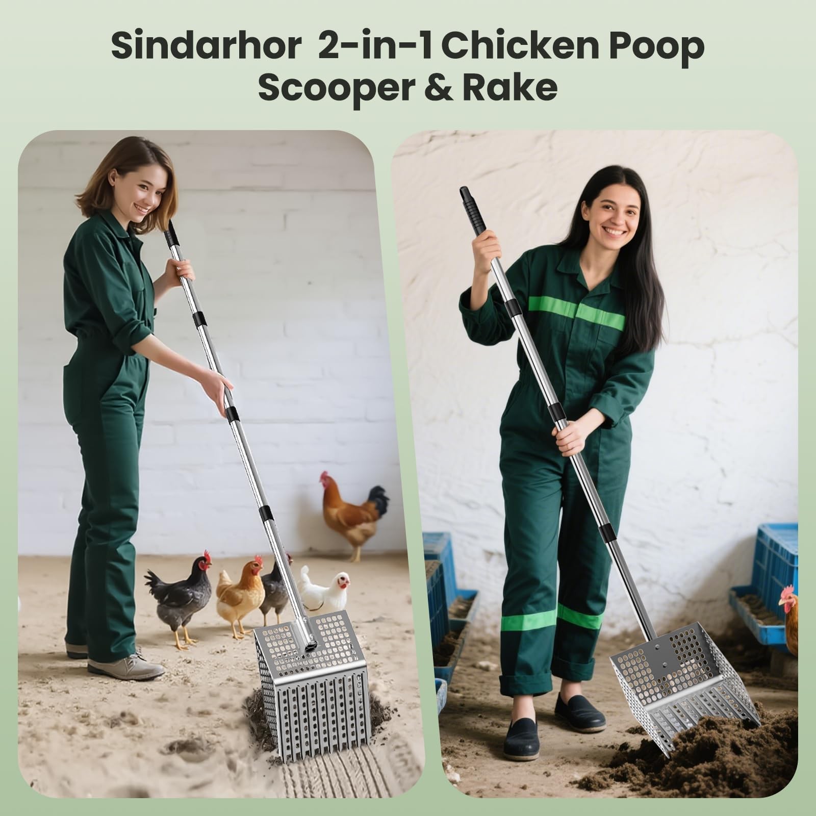 Stainless Steel Chicken Poop Scooper & Rake - Heavy-Duty 2-in-1 Sand Sifter