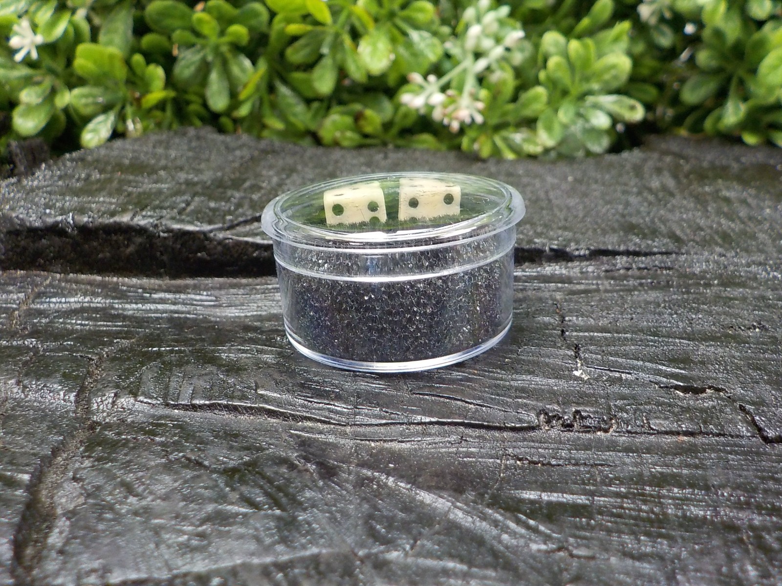 Old Rare Vintage Antique Civil War Relic Bone Dice Set Extremely Rare Free Case