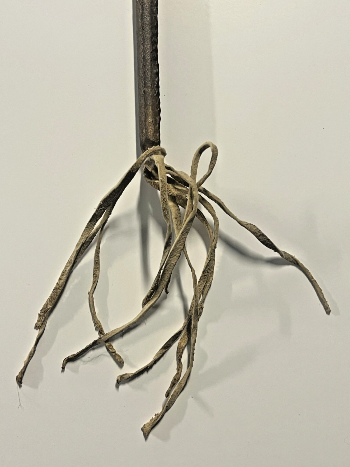 Coup Stick; Original Native American Indian Beaded Hide Wood ; 29"; Late 1800s