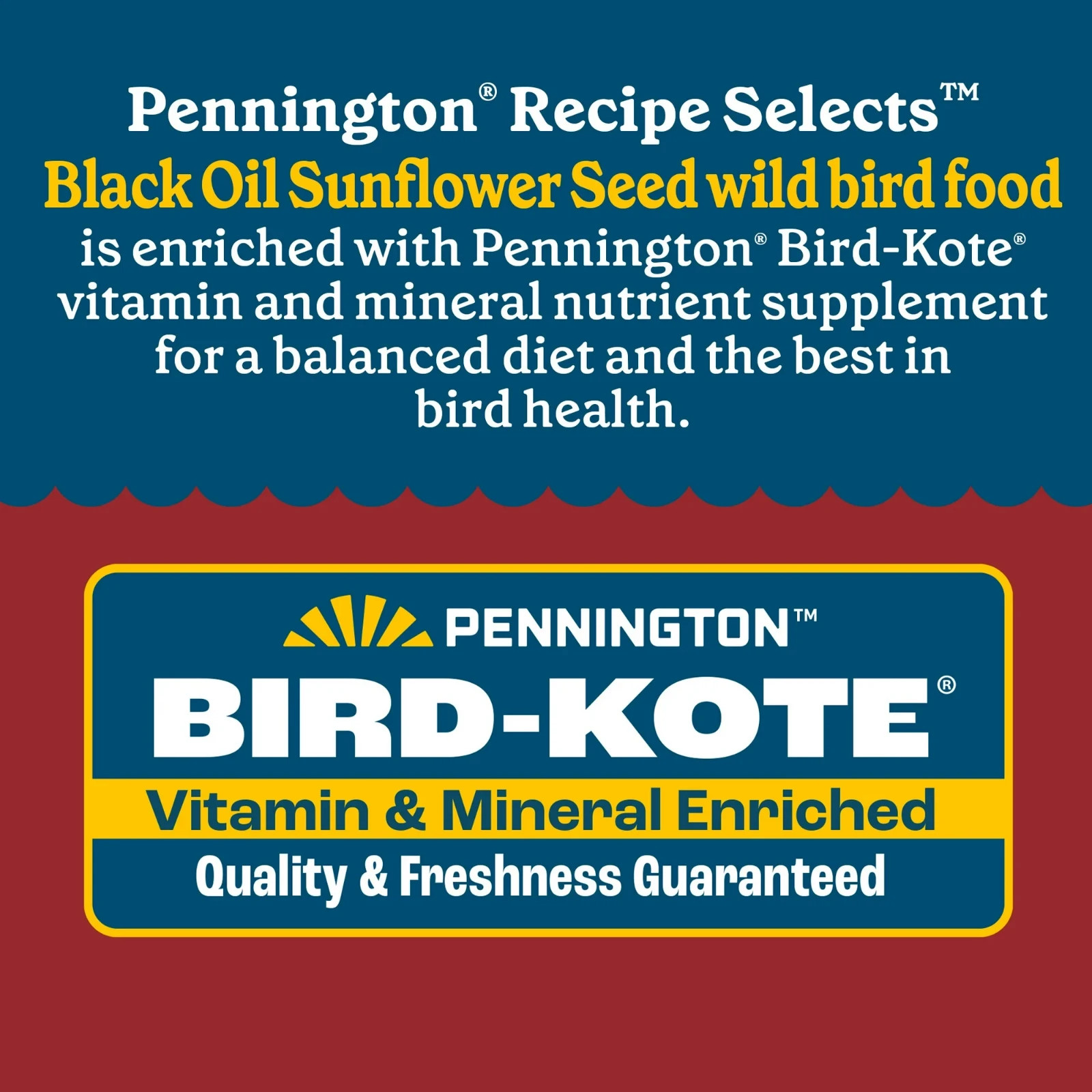 Pennington Select Black Oil Sunflower Seed Wild Bird Dry Feed, 10 lb. New Bag