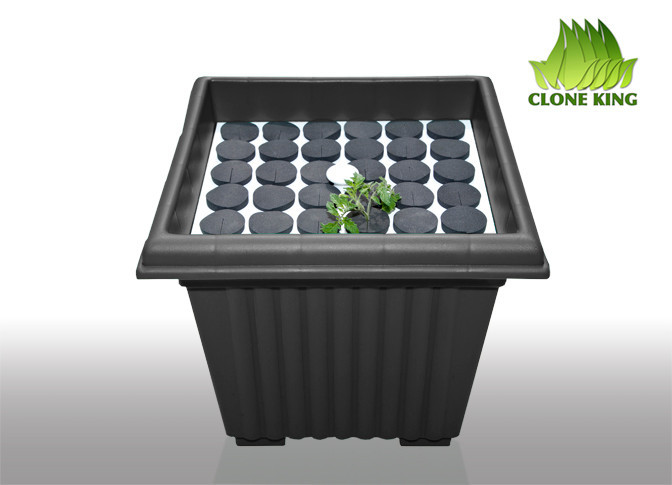 THE CLONE KING 36 SITE AEROPONIC PLANT CLONING MACHINE CLONER CLONING VERY EASY!