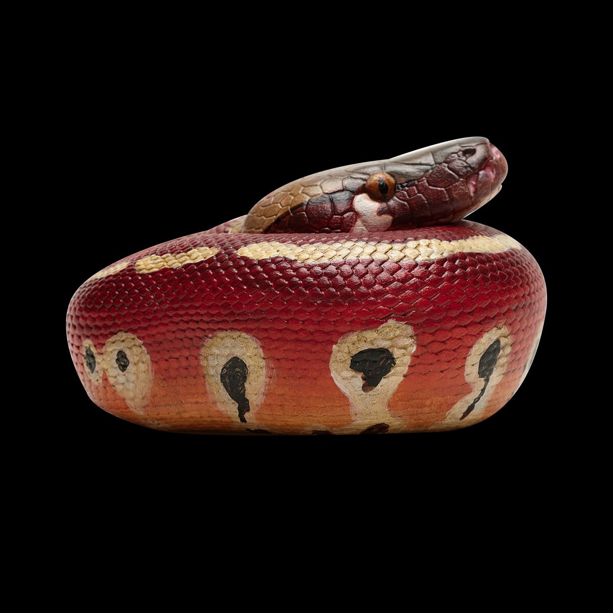 【In-Stock】 Animal Heavenly Body Blood Python brongersmai Snake Statue