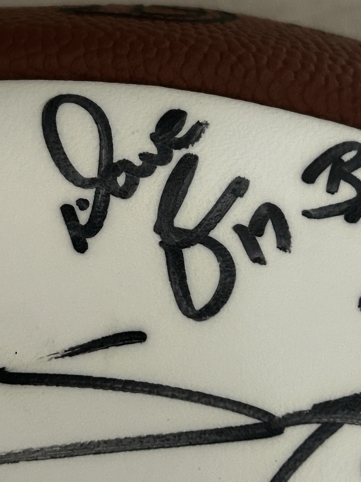 Authentic 1995 New York Giants Team Signed Football 25+ Autographs Walker Sehorn