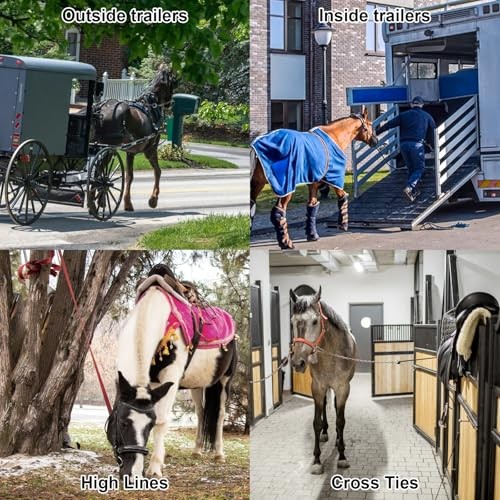 SHUESS 2 Pack Horse Tie Ring, Blocker Tie Ring for Horses, Horse Tack and