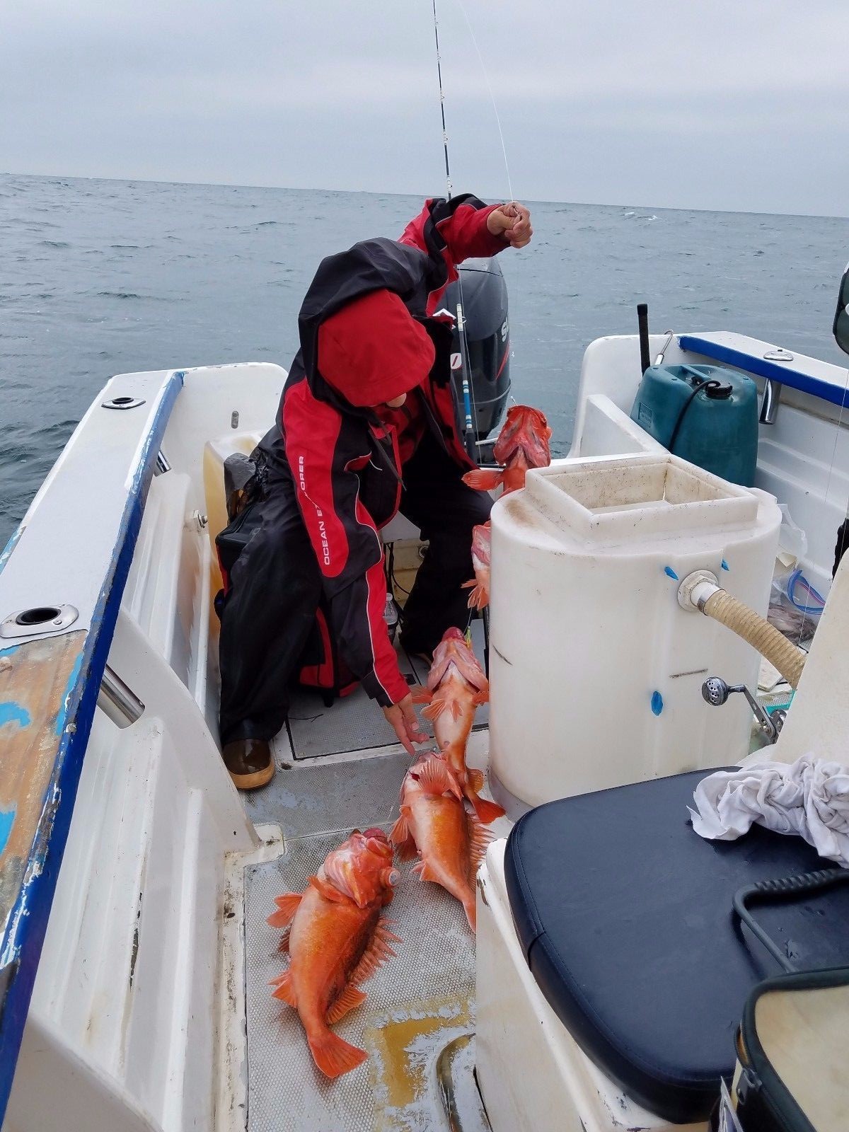 5 - 1/0 Squid SABIKI bait Bottom Sanddab Fishing Mackerel Bonito W/ Organizer