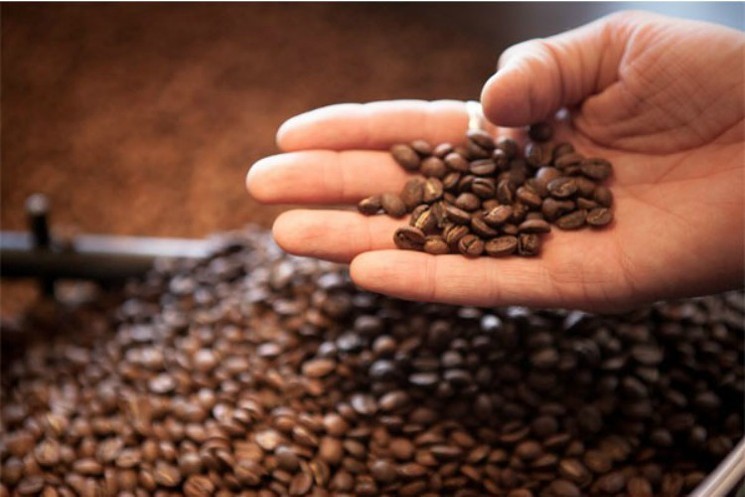 5 LBS OF WHOLE BEAN ESPRESSO FRESH, ROAST TO ORDER COFFEE - MEDIUM ROAST