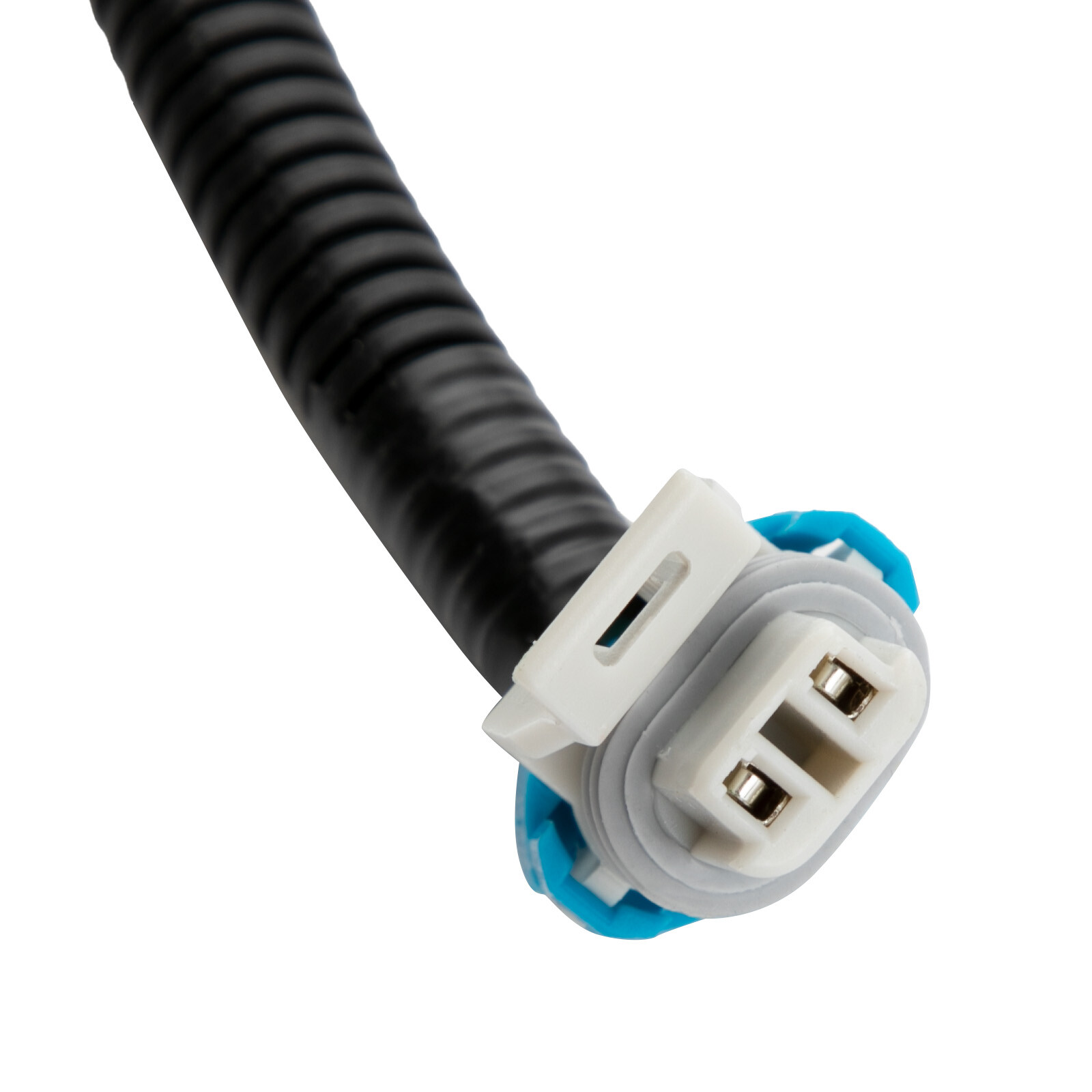 Standalone Harness For T56 Manual Tran 4.8/5.3/6.0l Ls Swap Ls1 Engine 97-06 Dbc