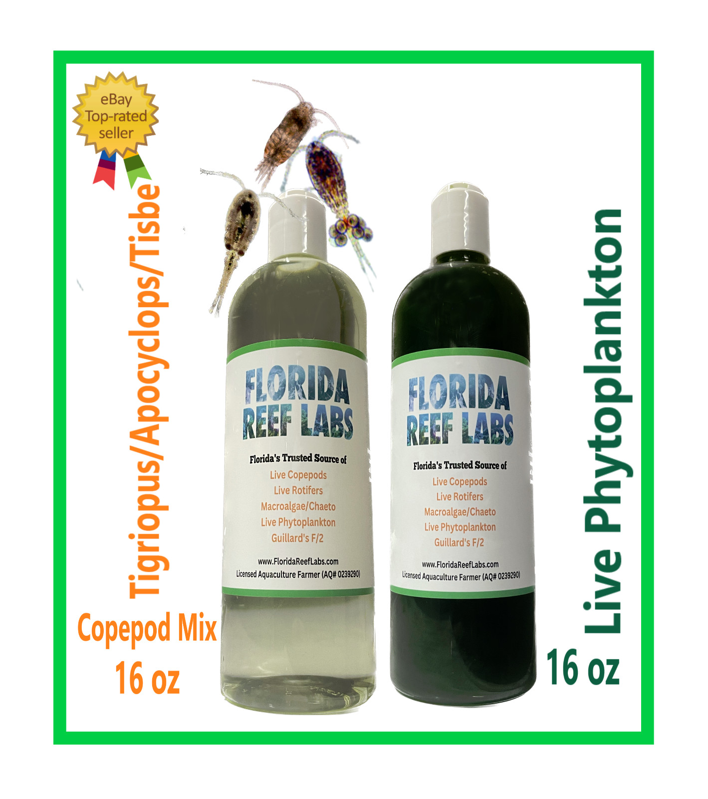 LIVE Copepods 16oz / Live Phytoplankton 16oz Combo - Florida Reef Labs®