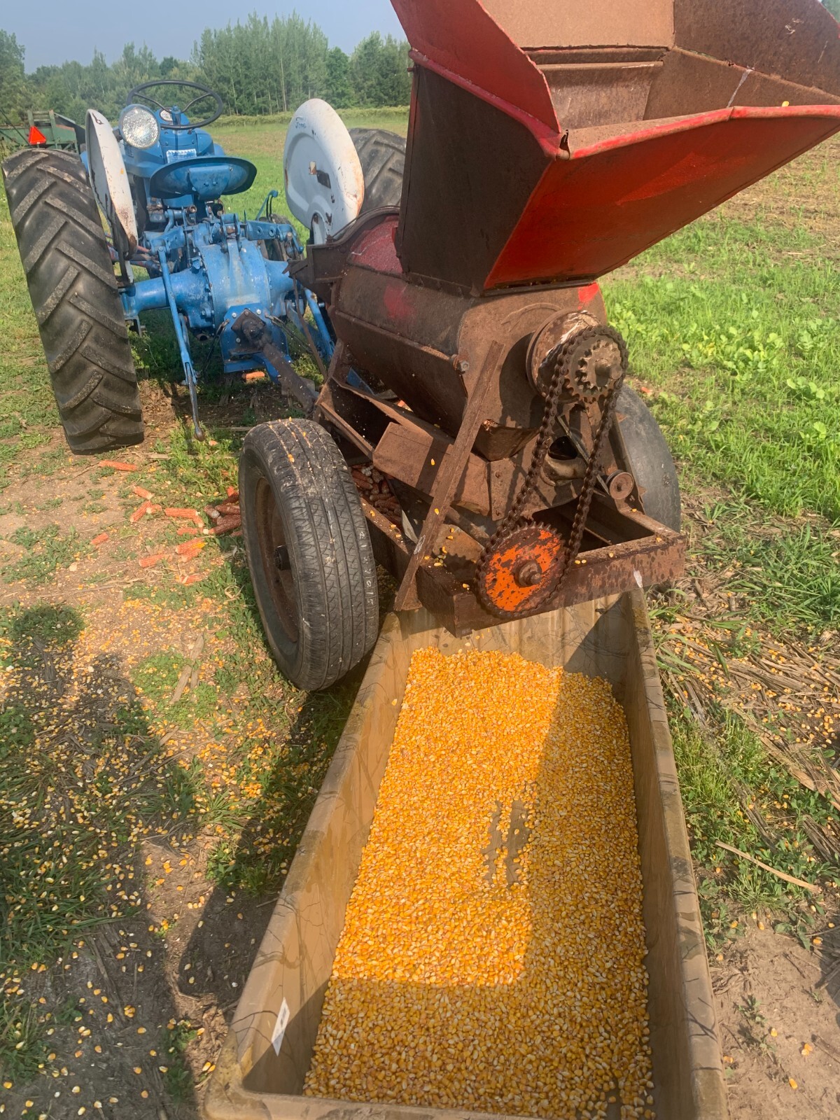 Shelled Corn Premium Wildlife, Bird, Animal Feed 15 lb Ship included