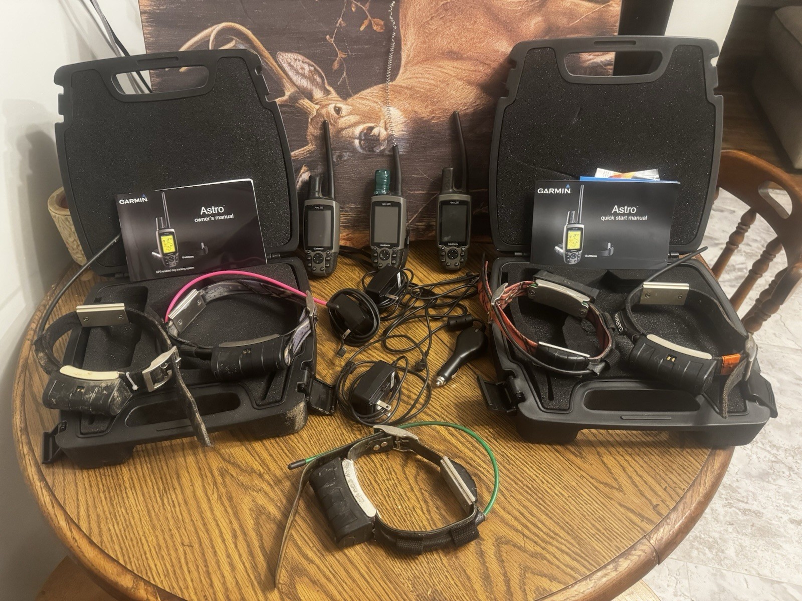 Garmin Astro 220 GPS Remote Tracking Systems