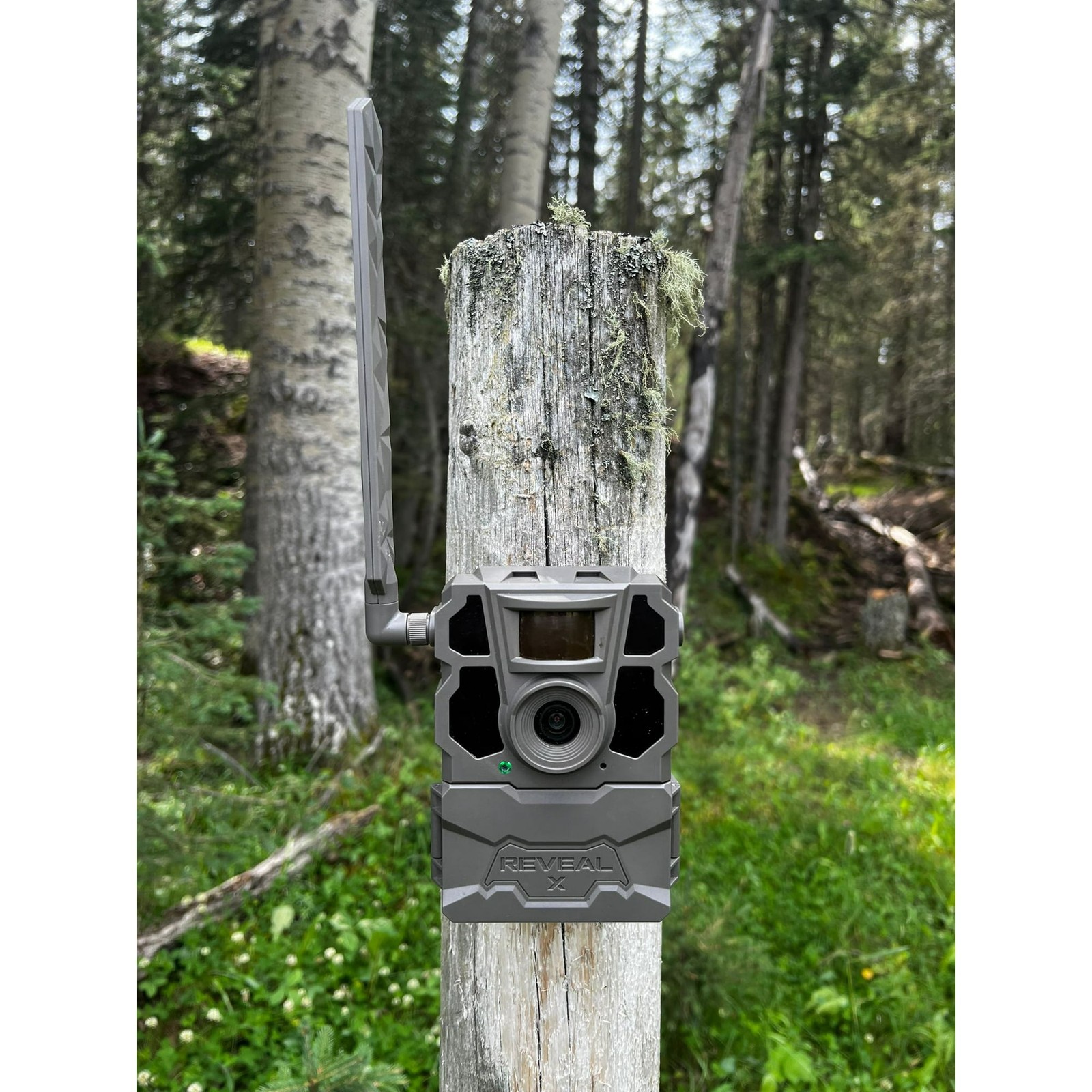 New, Tactacam Reveal X Gen 2.0 Cellular Trail Camera - Pack of 2 Cameras