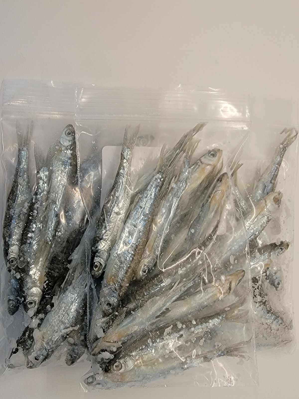 Bestbait Salted Emerald Shiners Preserved Minnows Free Shipping VHSv Free
