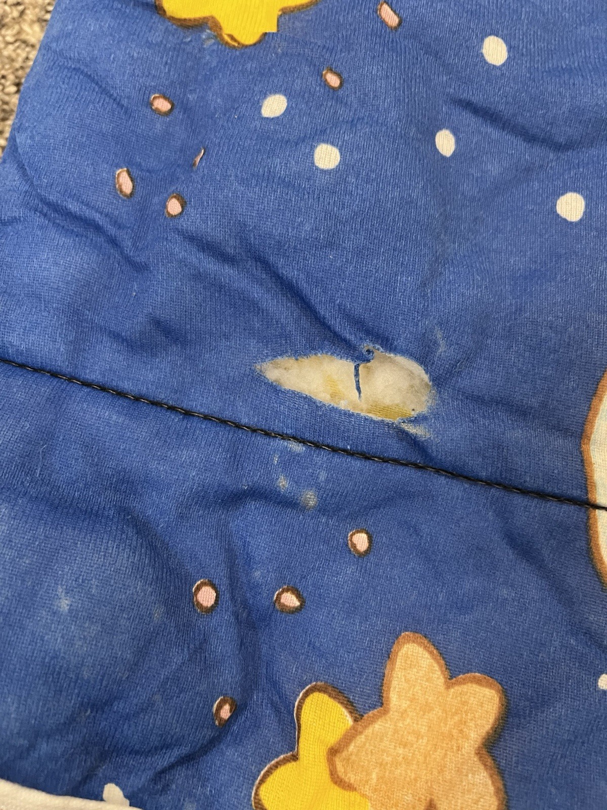 Vintage Care Bears Sleeping Bag 1984