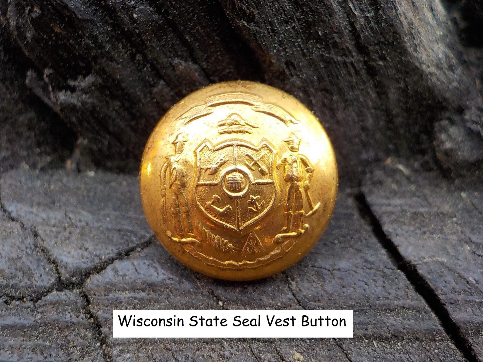 Old Rare Vintage Antique War Relic Wisconsin State Seal Vest Button Free Case