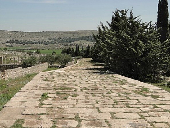 NGC Ancient Greek Coin Genuine 39BC-38BC Zeus Seated Antioch Under Roman Rule
