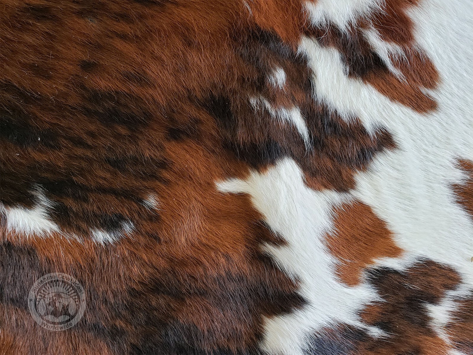 Real Tricolor Cowhide Rug - Size 6x7-8'
