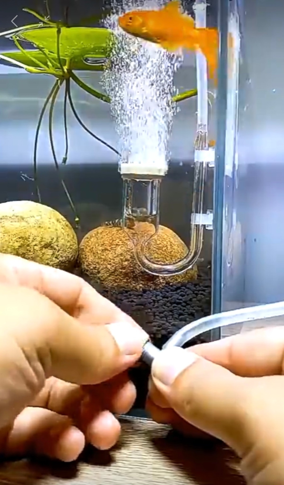 Fish Aquarium Nano Air Bubble Stone Diffuser Atomizer Tube Increase Oxygen