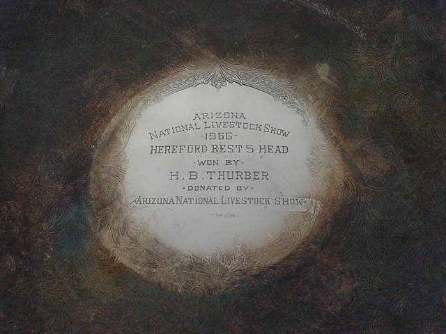 Arizona national livestock show Hereford cow cattte trophy 1966 Herald B Thurber
