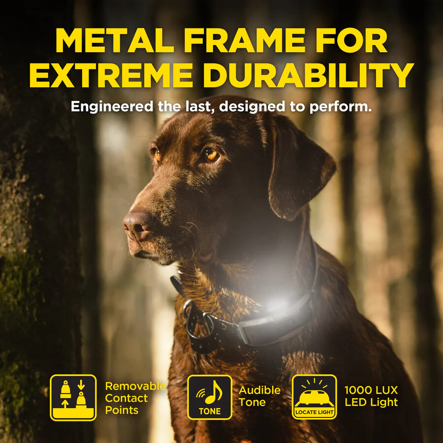 Dogtra 1900X Remote Training Collar 3/4 Mile Range, Boost and XPP Vibration