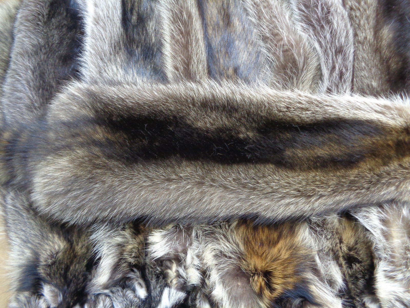 Professionally Tanned Slt Damage XL Raccoon/Coon Hides/Furs/Taxidermy/Crafts