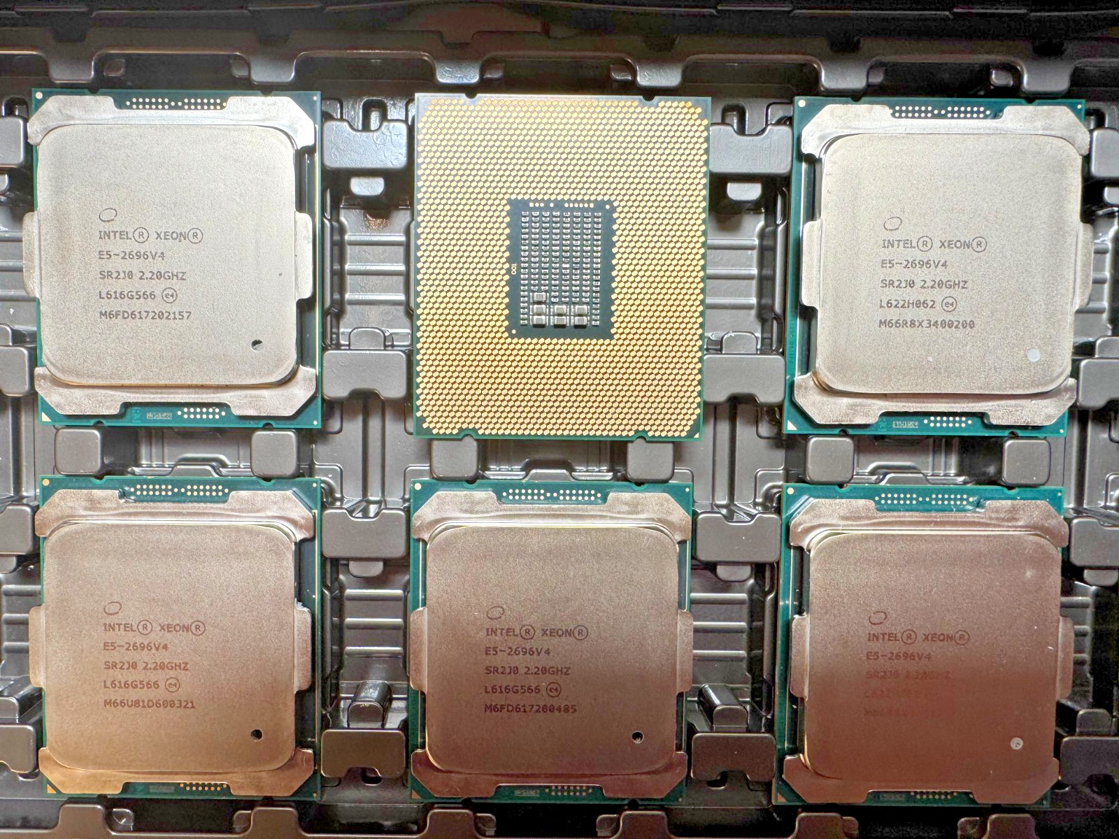 Intel Xeon E5-2696V4 2.20GHz 22 Core SR2J0 (very similar as 2699V4 but cheaper)