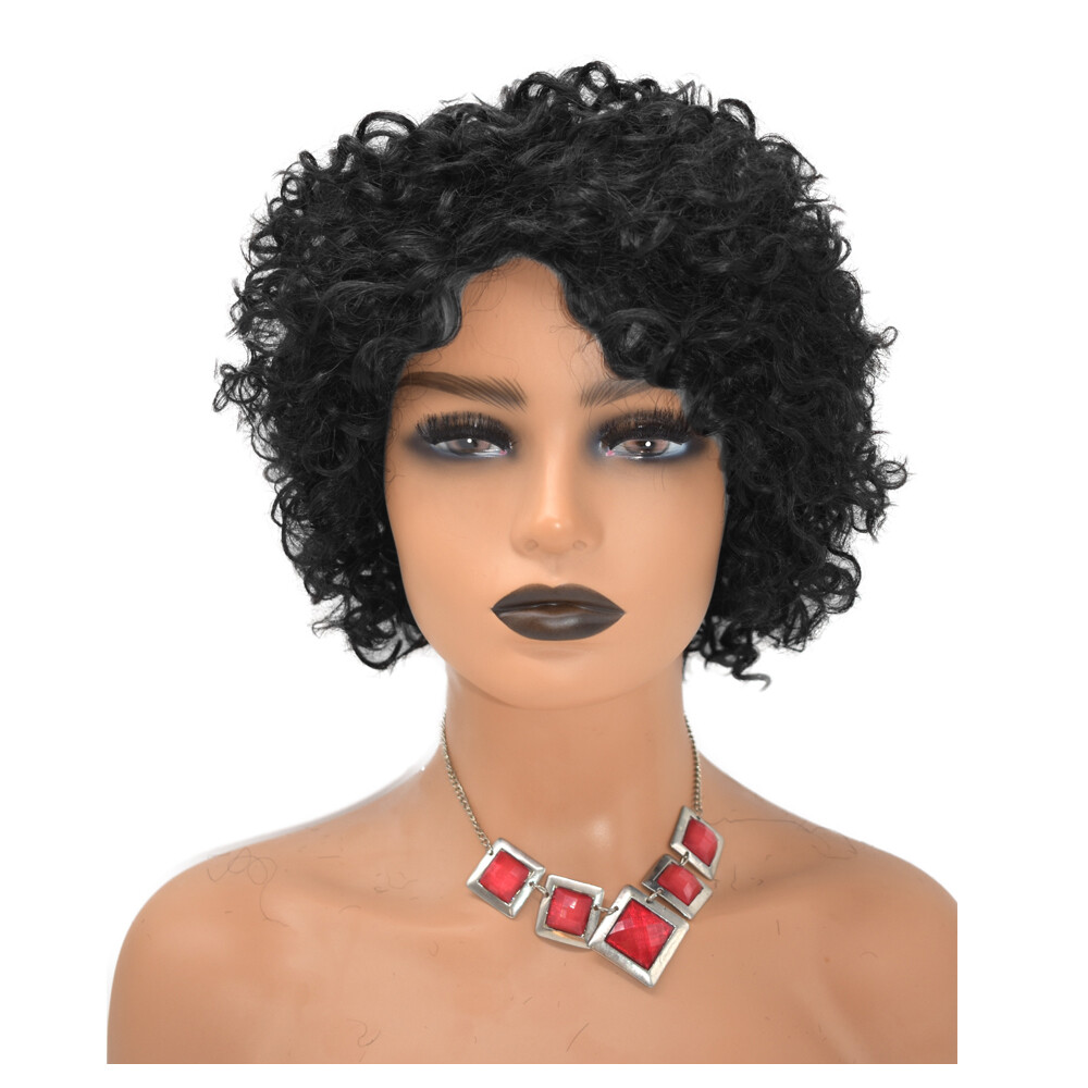 Short Kinky Curly Afro Wigs for Black Women 100% Brazilian Human Hair Natural US
