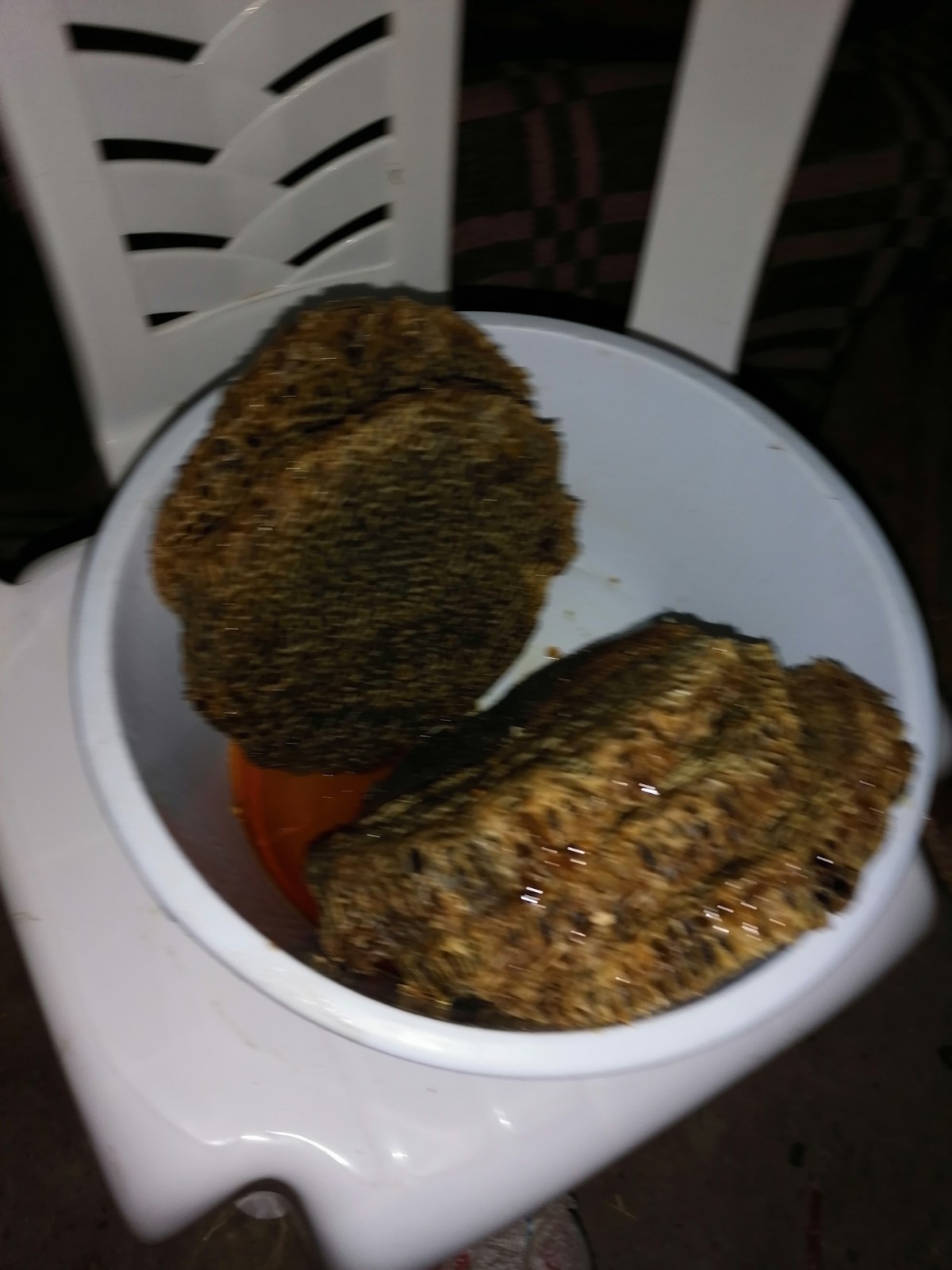 Moroccan natural bee honey