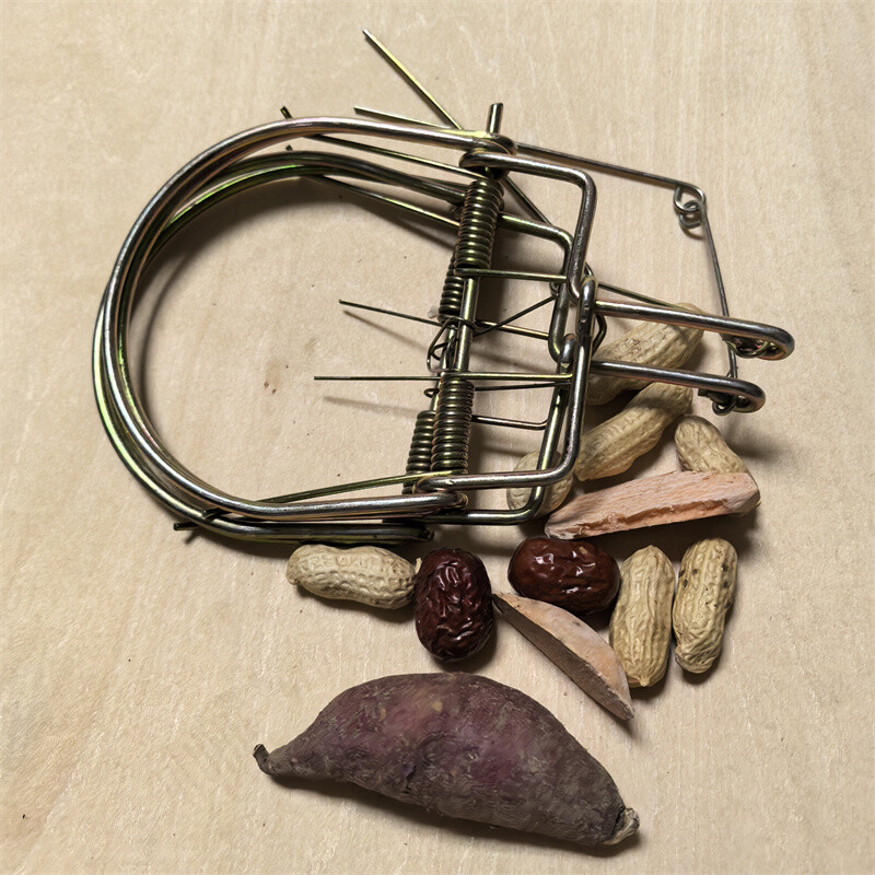 2pcs Size M Professional Rodent Traps Strong Spring Mouse Trap Snap Rat Catcher