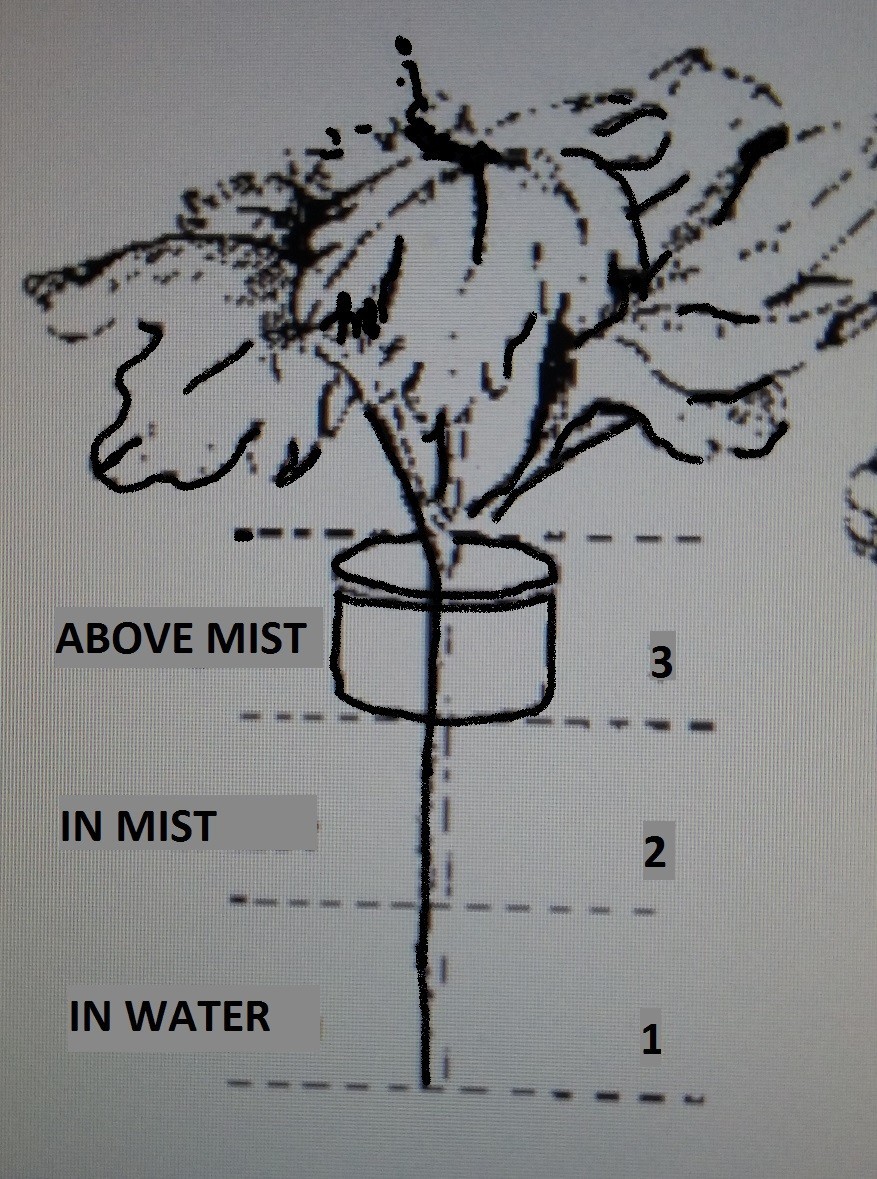 DIY- Aeroponic Ad-On For Bubbler Buckets  - Aero-Hydroponics Bubbler / Cloner
