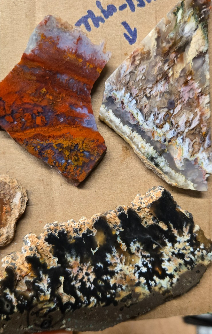 Assorted Plume & Moss Agates, Trimmed Cabochon Slabs Preforms 10 Pcs, Flat 118