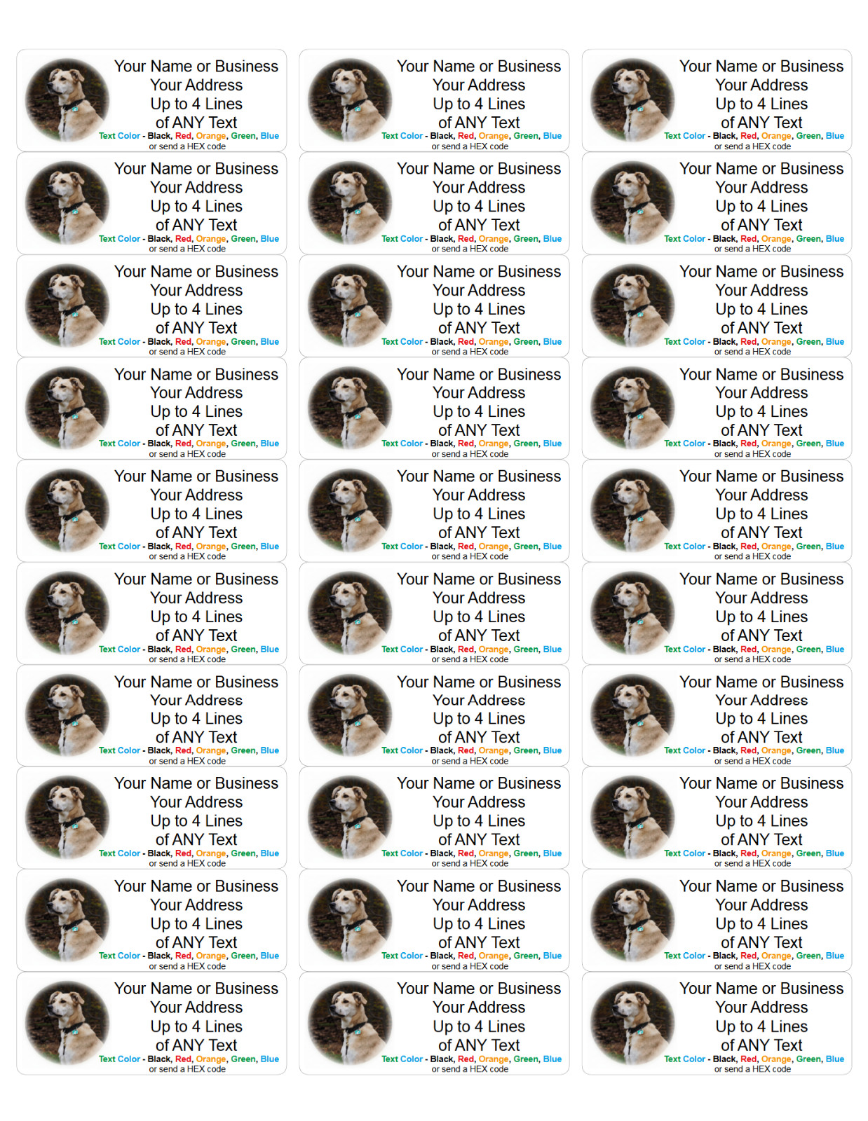 60 Personalized Address Labels with Your Pet Photo Custom Stickers Tag Free Ship