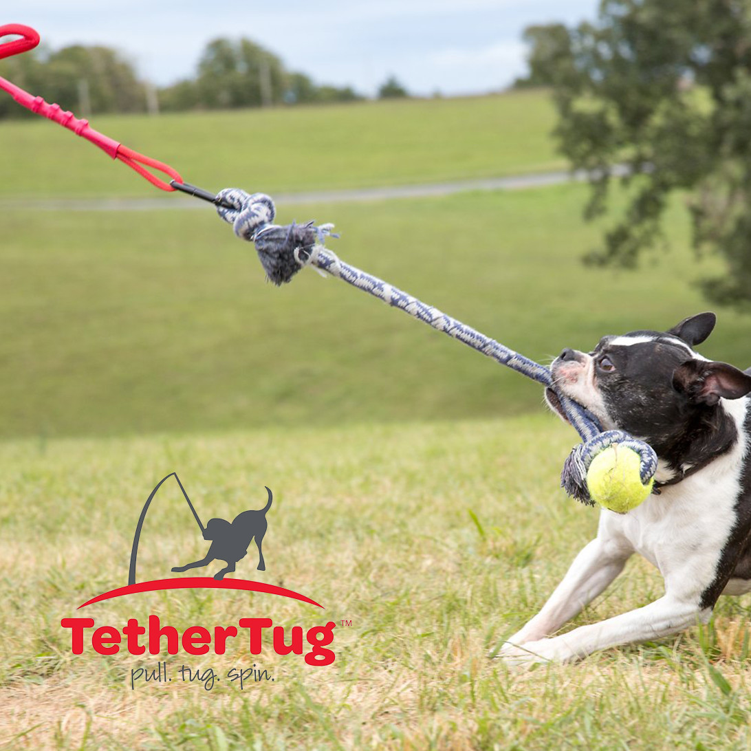 Tether Tug V2 Outdoor Dog Interactive Toy Tugging Pull Exercise 5-70 lbs and Up