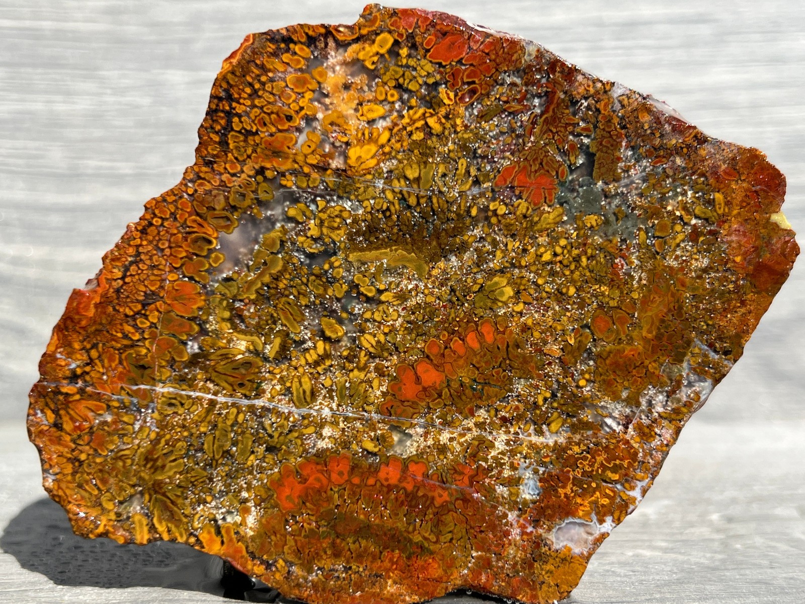 East Java Plume Agate - Indonesia 3.75"x3" High Grade Lapidary Rough Slab