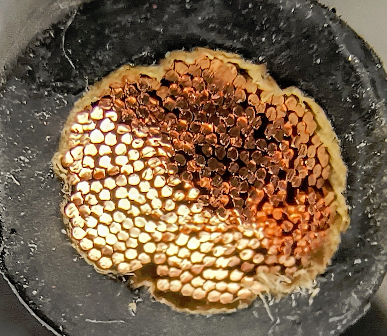 4 Gauge, 100% Made in the USA Copper wire, 600v, Battery Cable Cut to Length