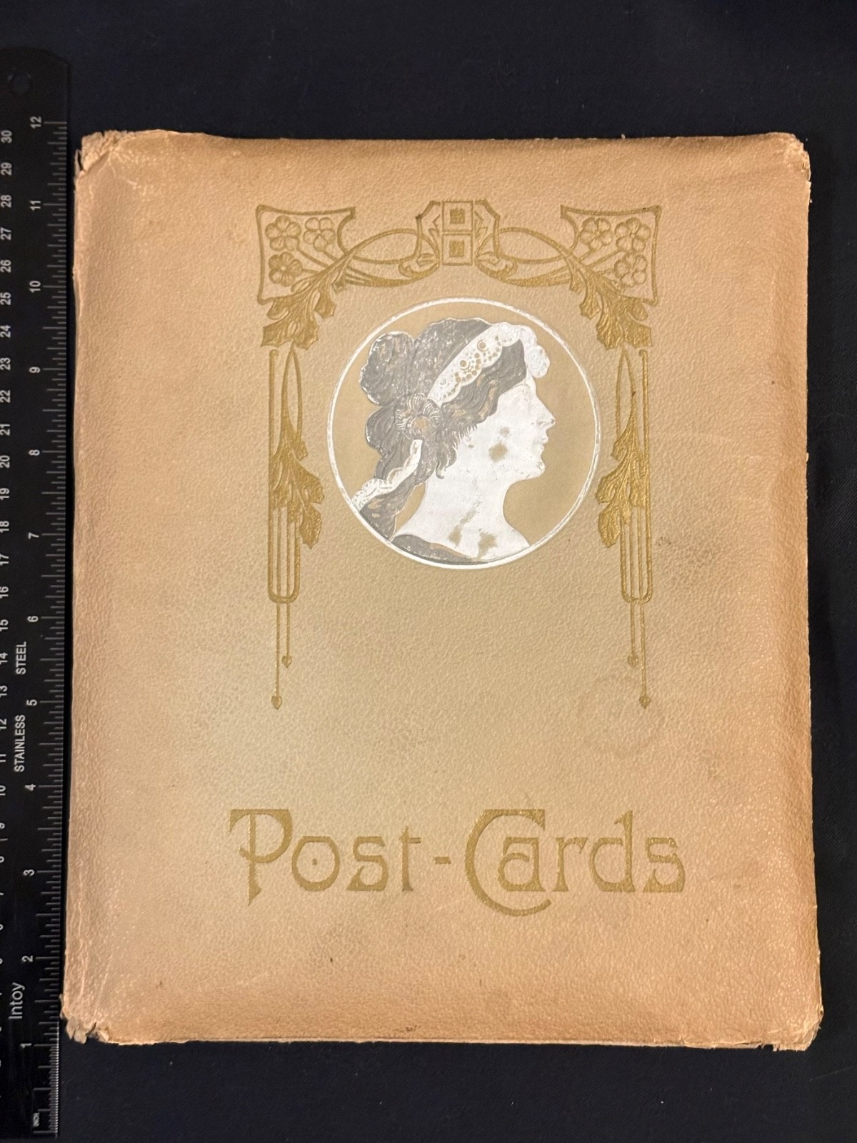 Post Cards Album Embossed Profile Art Nouveau Paper Slotted Pages Vintage Empty