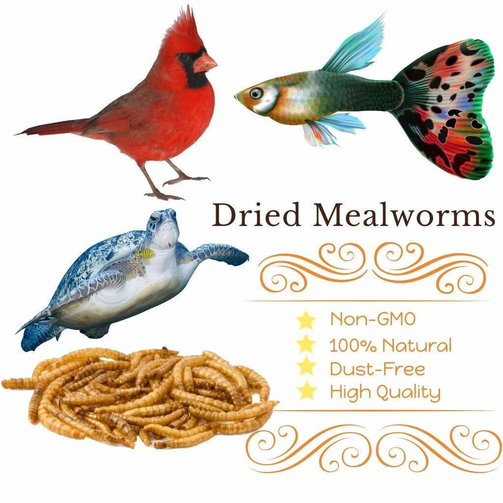 30 LBS Bulk Dried Mealworms Wild Birds Food Chickens Hen Fish Treats Food US NEW