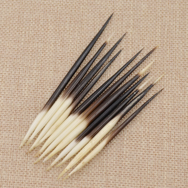 10Pcs Porcupine Quills DIY Fish Float Hair Stick Hair Craft Fishing Bobber
