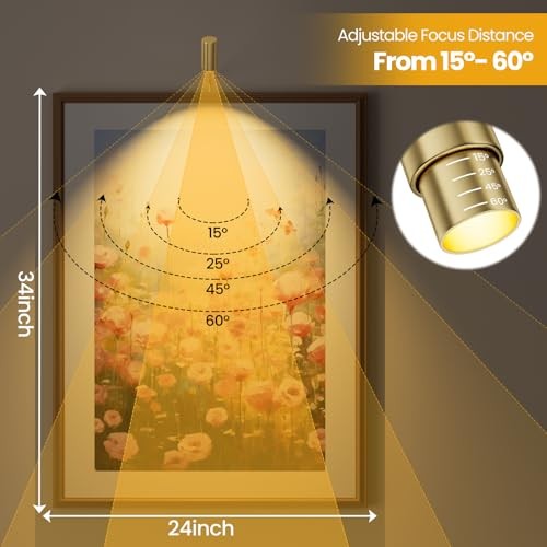 Zoomable Picture Light Spotlight,Plug in LED Picture Lights for 1 Pack Gold