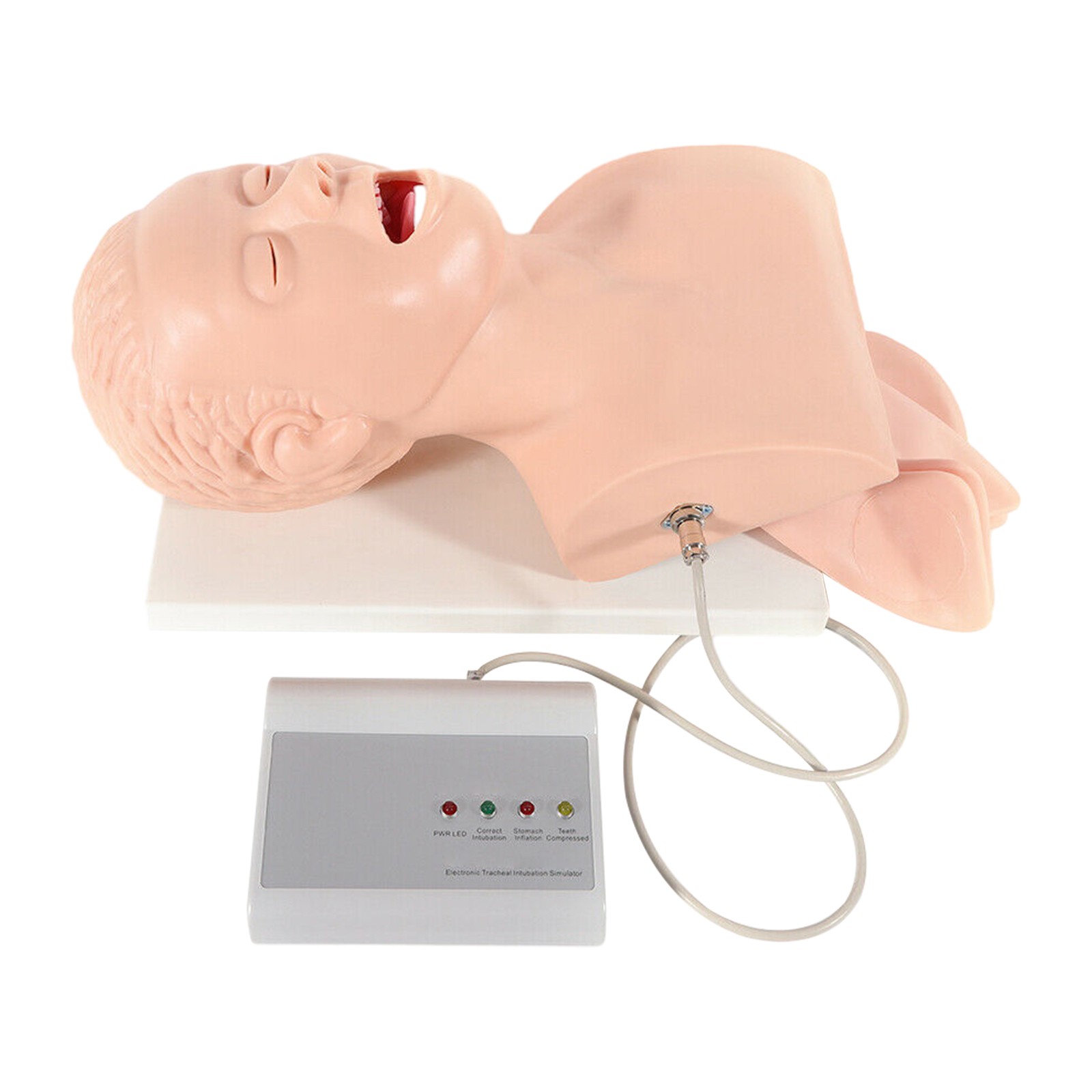 Intubation Manikin Study Teaching Model Adult Airway Management Trainer 110V